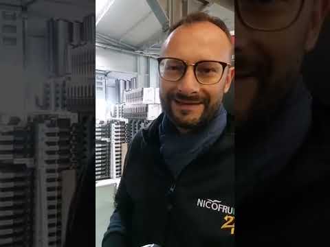 SCANZANO JONICO. QUELLE 60MILA "CARTOLINE" CHE OGNI GIORNO PARTONO PER TUTTA ITALIA...