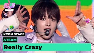 Cover art for Really Crazy