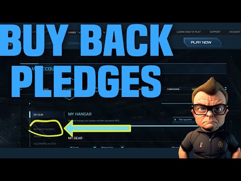 Rsi Pledge