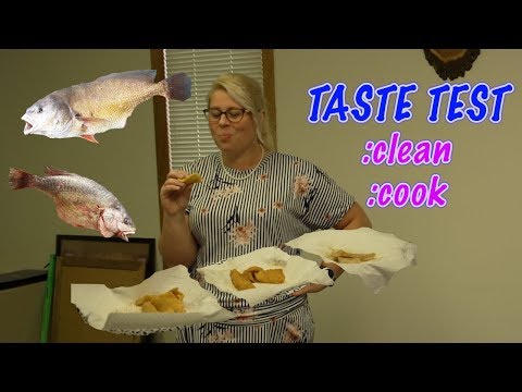 image-Are freshwater sheepshead fish good to eat?
