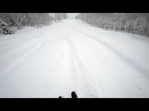 Powder Day at Myoko Suginohara Ski Resort