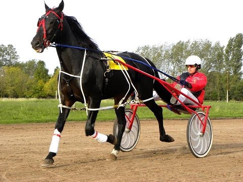 5°SAMURAI - Hurlingham - 13-5-2018