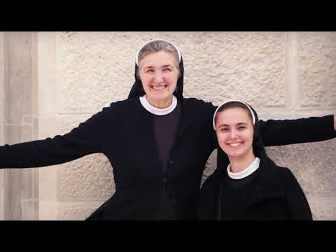 Čistoća srca prema sv. Franji