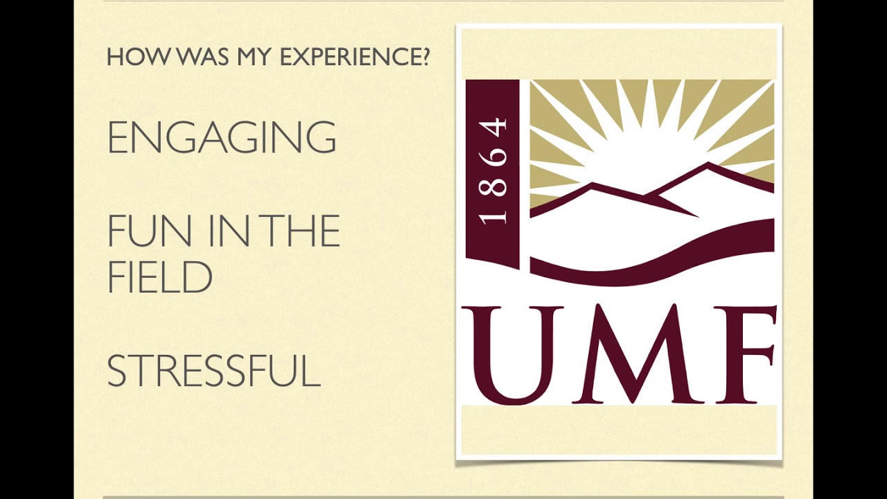 UMF Practicum Final Reflection