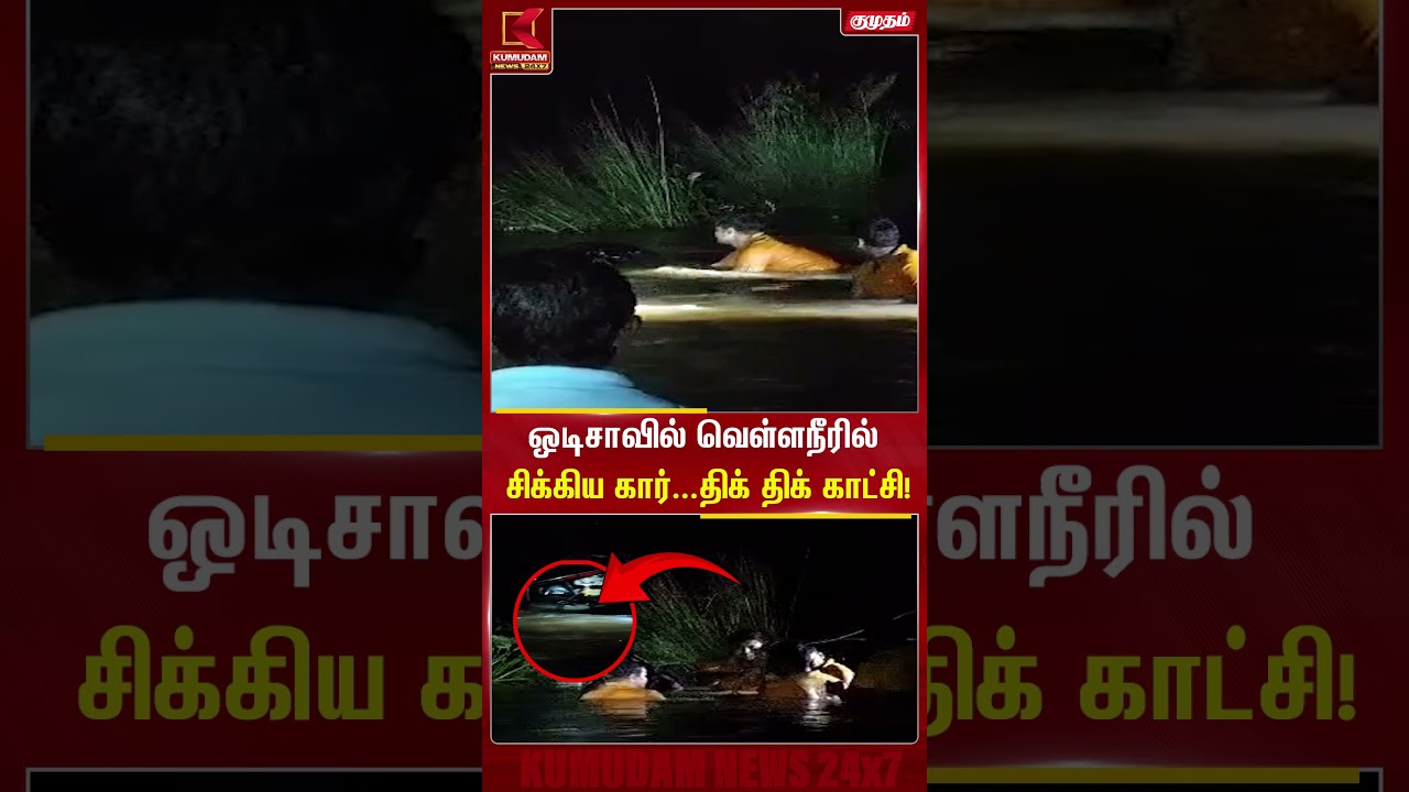 ஒடிசாவில் வெள்ளநீரில் சிக்கிய கார்... திக் திக் காட்சி! | Odisha Car Rescue | Kumudam News