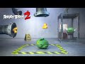 Angry Birds 2 Test Piggies The Golden Duck