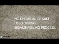 Sesame Peeler Machine Akyurek Group Technology