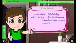 สื่อการเรียนการสอน การวิเคราะห์ข้อเท็จจริง ม.2 ภาษาไทย