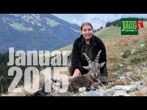 DJZ-TV: Vorschau Januar 2015
