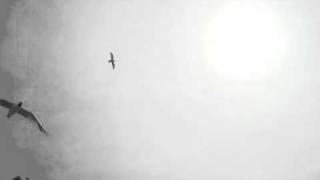 BLOWN AWAY  B side of 12" single Flight  by  A Certain Ratio