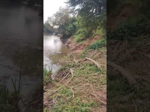 Rio de Andirá Paraná