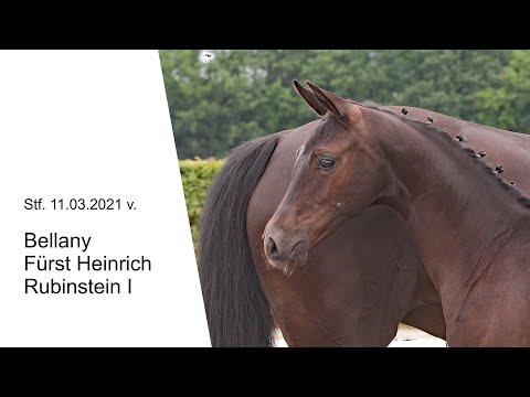 Stf v Bellany x Fuerst Heinrich x Rubinstein I 2021