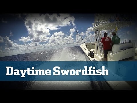 Daytime Swordfishing - Florida Sport Fishing TV - Best Video For New Swordfishermen