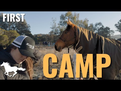 Horses first Camp - Preparation for Endurance ride camp
