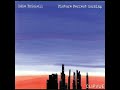 11.   LOST IN THE MOMENT    -     EDIE BRICKELL     ALBUM    EDIE BRICKELL   PICTURE PERFECT MORNING