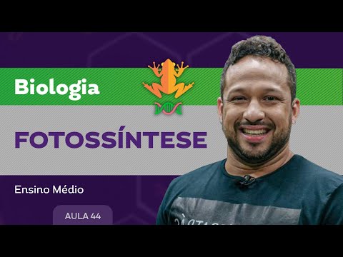 Fotossíntese​ - Biologia - Ensino Médio