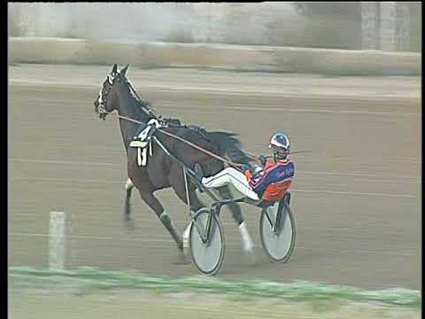 Trotto 15/10/2017 - 8ª corsa