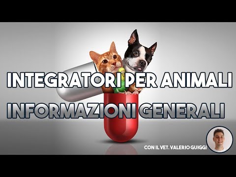 Perossido di idrogeno mal di schiena Dolore nella parte destra della schiena nella regione lombare