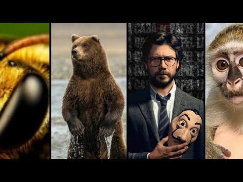 PROFESSOR TÁ TE CHAMANDO ((DJ's JOTACÊ DO SALGUEIRO, LZ CPX E JV SHEIK)) CYBORG DO YTB 2K22