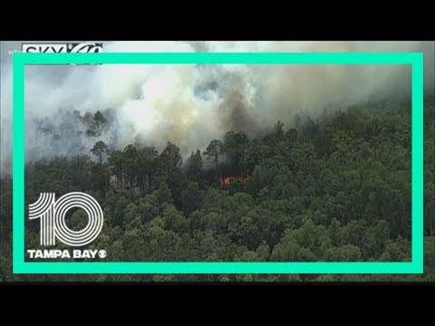 Brush fire closed park in New Port Richey