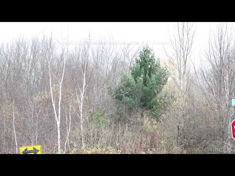 Halloween Snow, Barron County, WI - 10/31/2021