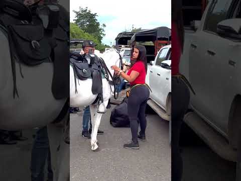 Versalles 2025: Gran Cabalgata en el Valle del Cauca | Caballos y Fiesta Popular