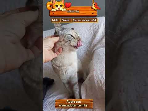 Vídeo de AGATHA
