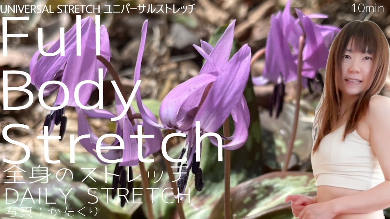 【DailyStretch】Full Body Stretch 全身のストレッチ