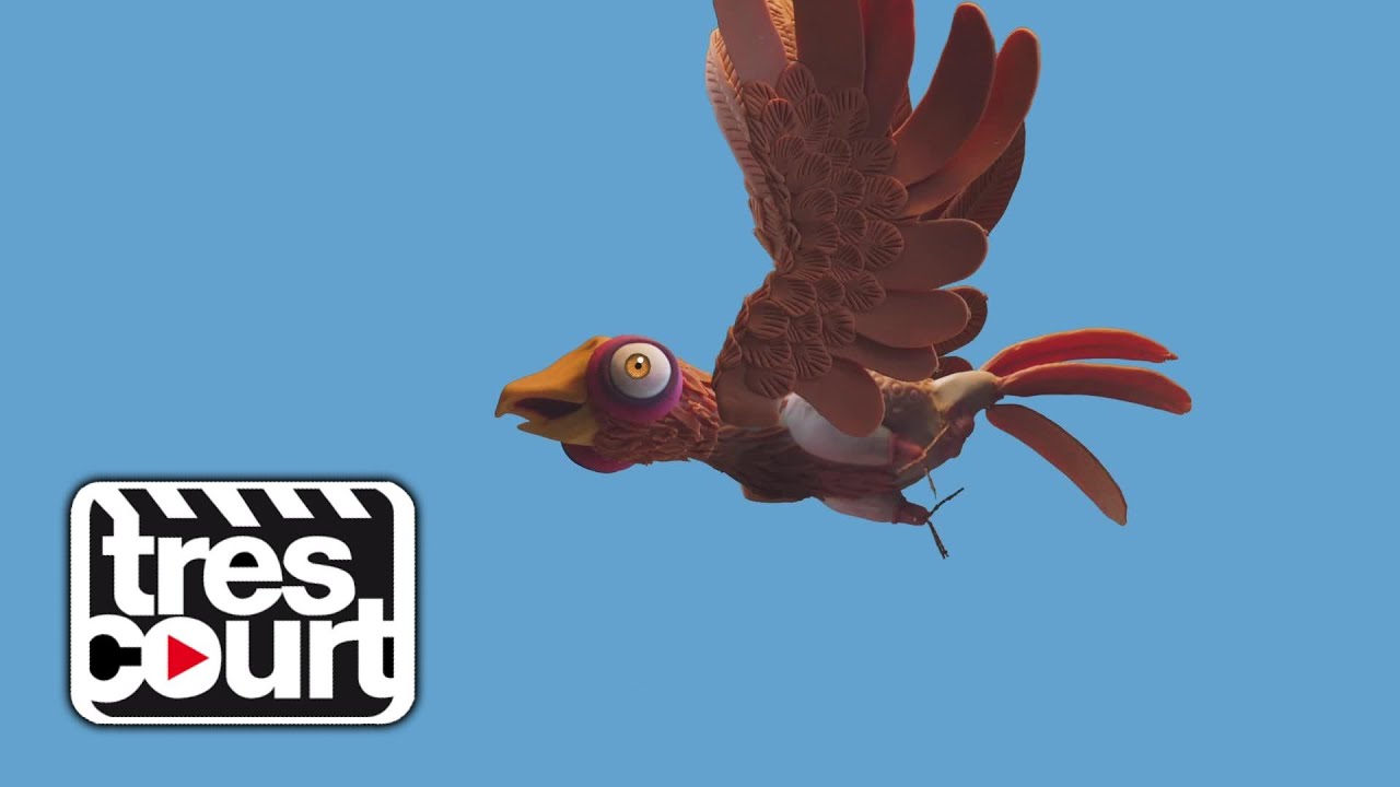 I believe I can fly - Chickens