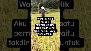 Download lagu wahai sag pemilik napasku aku titipkan satu permintaan untuk anak ku yaitu takdir terbaik #short# mp3