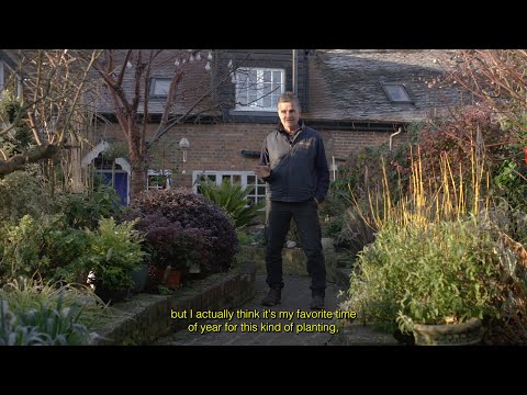 Antony Henn // Winter in the garden // Favourite winter plants & what to do when your pond freezes