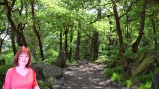 One Day I Walk, Bruce Cockburn (KD Lang cover)