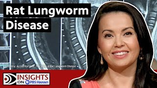 Rat Lungworm Disease: What You Should Know | INSIGHTS ON PBS HAWAIʻI