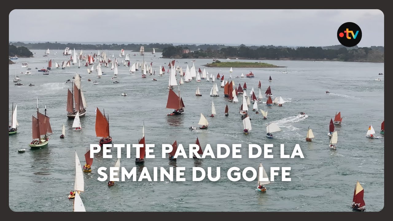 Petite Parade de la semaine du Golfe 2025 : des centaines de voiliers sur l'eau