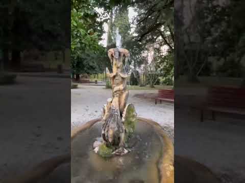 Vittorio Veneto/The Battle that Ended World War 1”