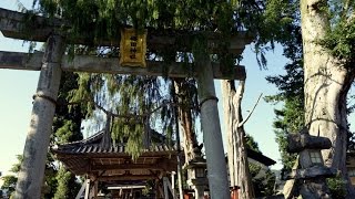 preview picture of video '(4K)京都寺社巡り2014 - 梅田神社 Umeda Shrine Kyoto,Japan'