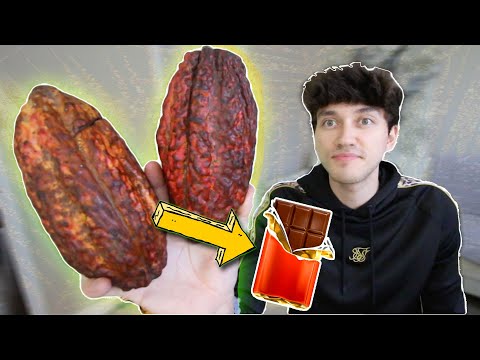 Making a CHOCOLATE BAR from the FRUIT! (cacao pod)