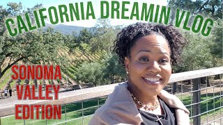 Sonoma Valley Vibes | Wine Tasting Tour, Faith Chat | Drama Filled Plane Ride Back to Chicago!