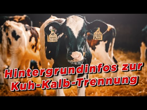 , title : 'Hintergrundinfos zur Kuh-Kalb-Trennung - My KuhTube Film 616'