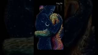 Aaron - 2:22 Video