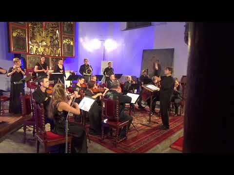 Maxim Berezovsky - Sinfonia (ca.1770) - Pratum Integrum Orchestra & Pavel Serbin