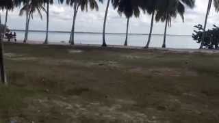 preview picture of video 'Playa Larga, Matanzas, Cuba'