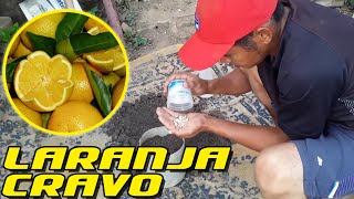 Miniatura do vídeo