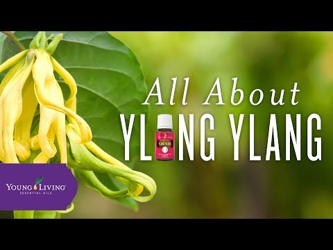All About Ylang Ylang | Young Living Essential Oils