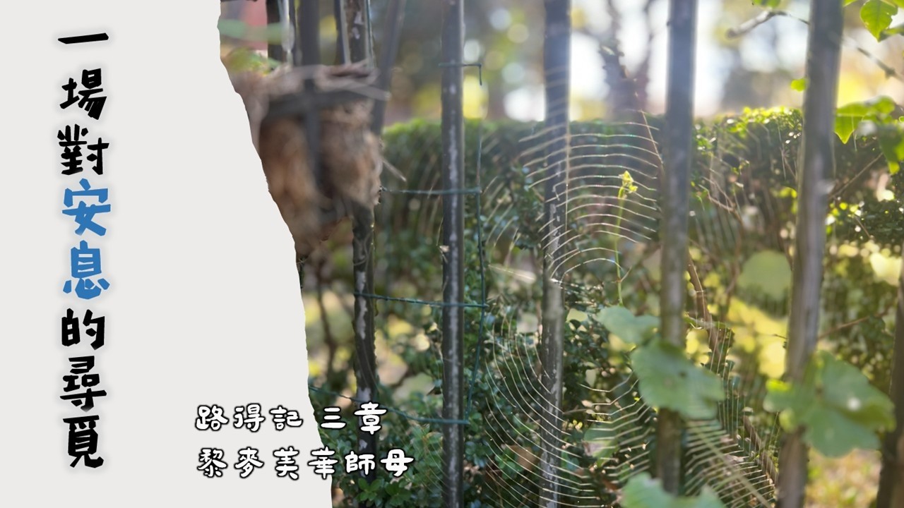 網上崇拜直播