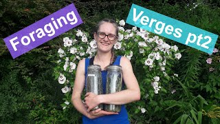 Foraging Verges part 2 | Foraging For Horses - Dandelions & Cleavers