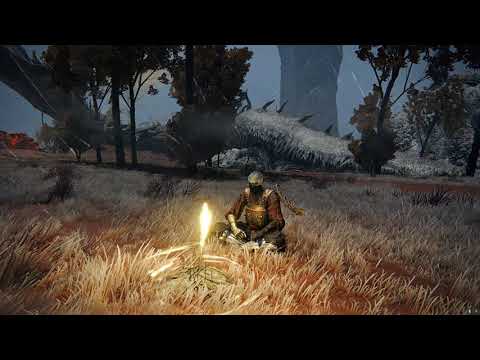 Elden Ring Infinite Rune Glitch (Elder Dragon Greyoll) [Still works]