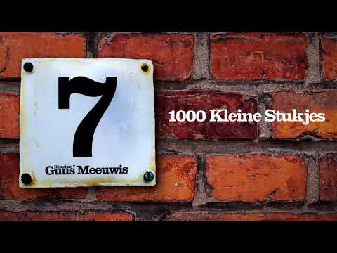 1000 kleine stukjes