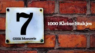 1000 kleine stukjes Music Video