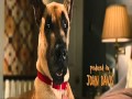 Marmaduke Wait For It Wmv